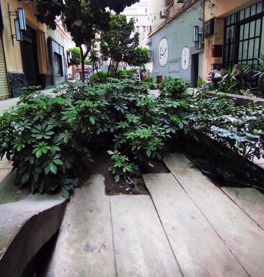 Cairo House Hostel Εξωτερικό φωτογραφία