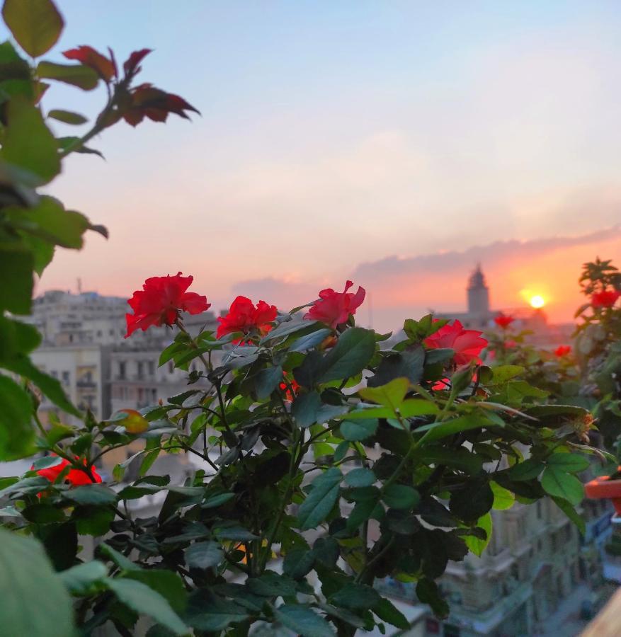 Cairo House Hostel Εξωτερικό φωτογραφία